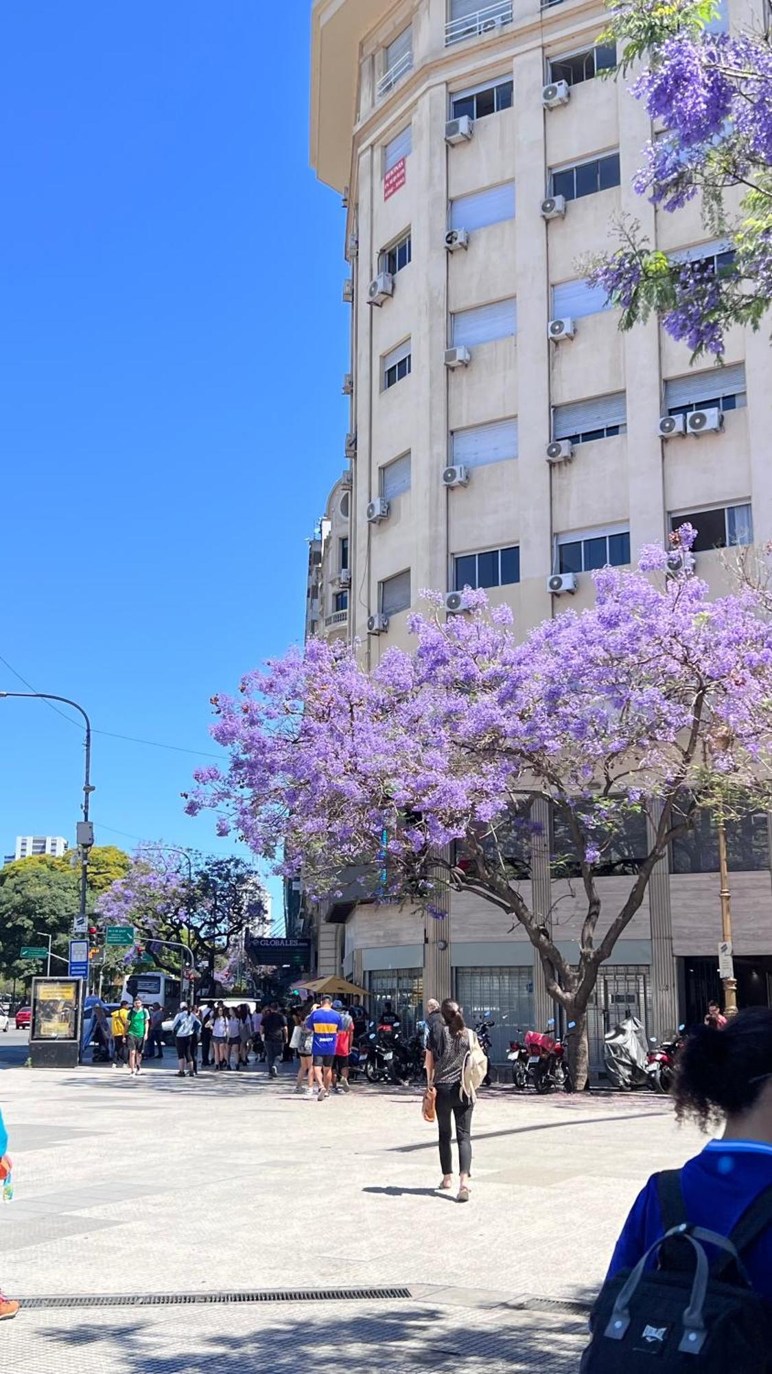 Loft Obelisco Leilighet Buenos Aires Eksteriør bilde